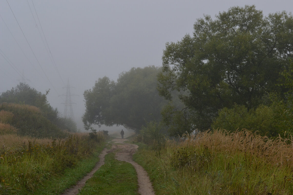 Постепенно туман рассеивался, и появлялось всё больше ясности