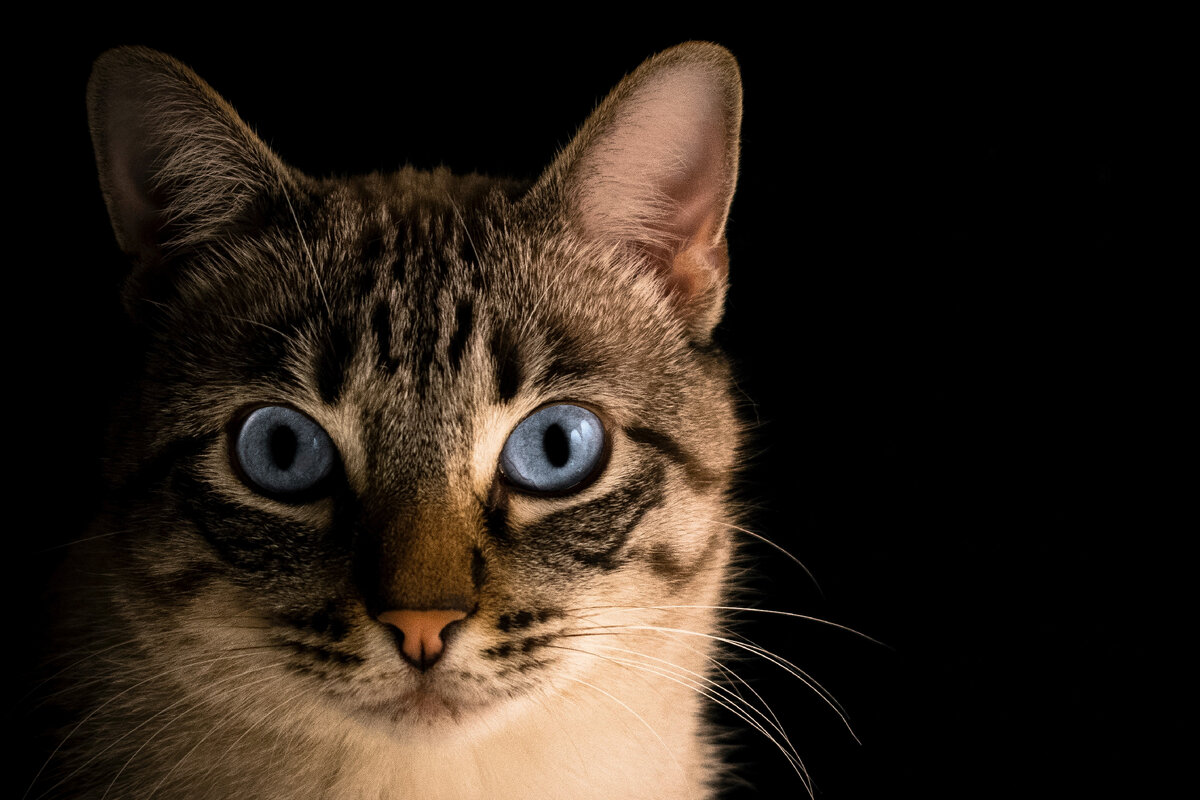 Фото Unsplash