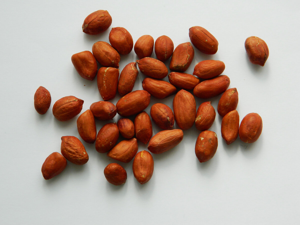 фото автора канала