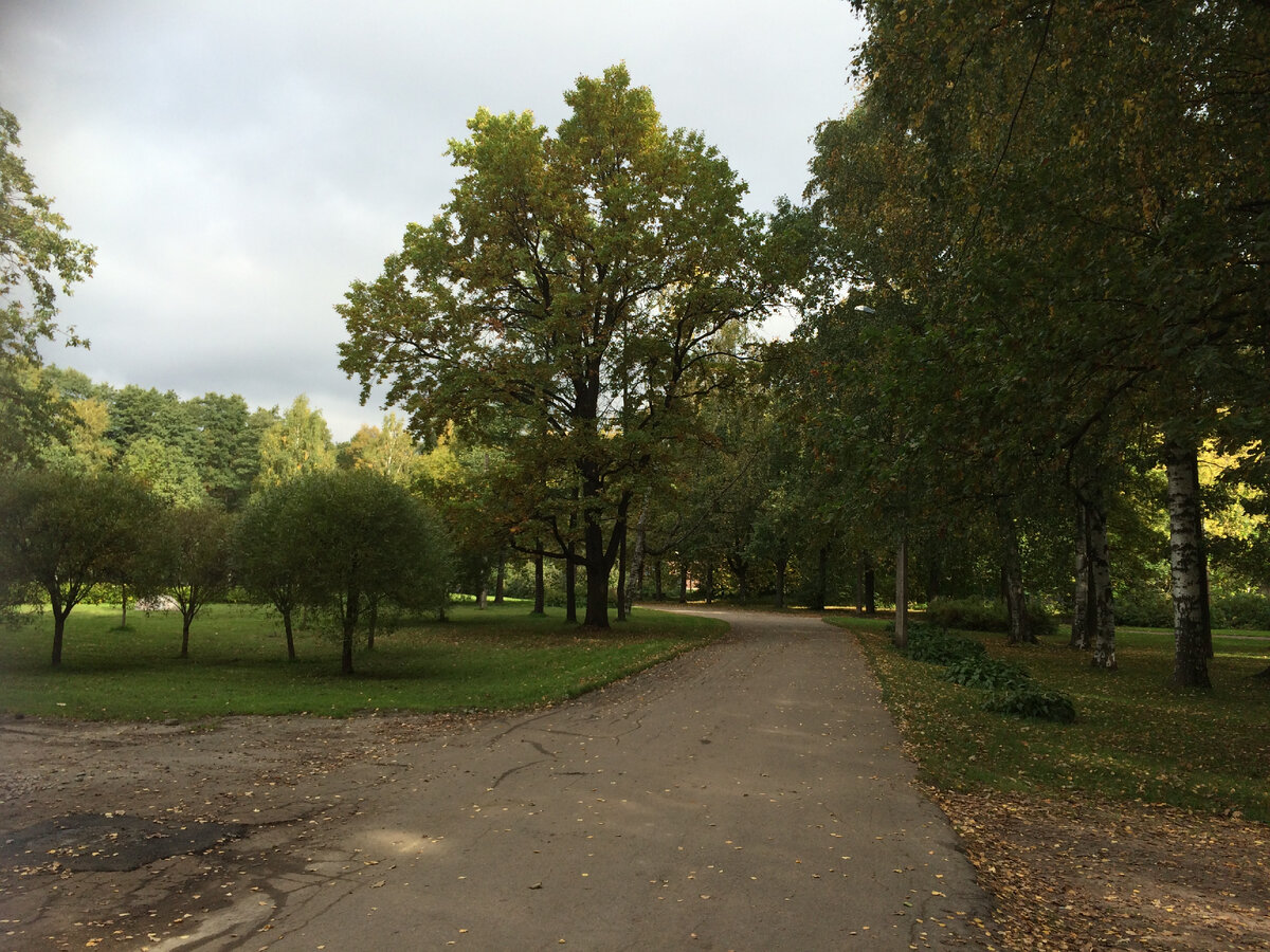 Парк возле дд. 