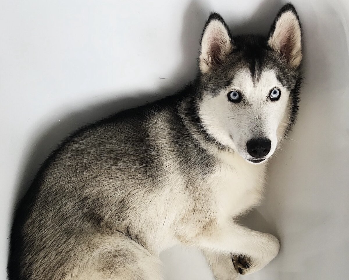 Фотография сделана автором канала.