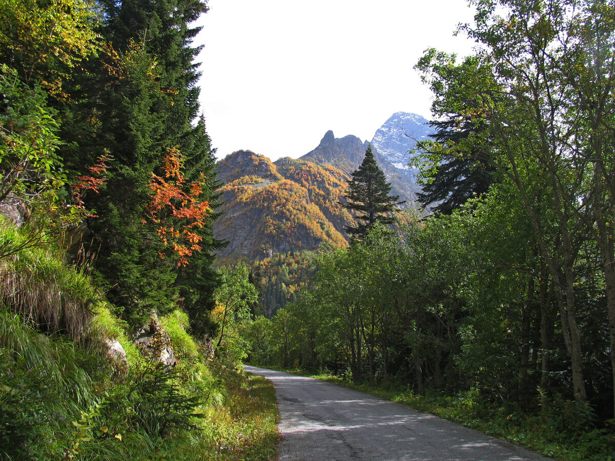 фото из личного архива