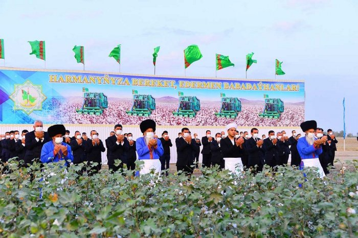 Источник фото: tdh.gov.tm