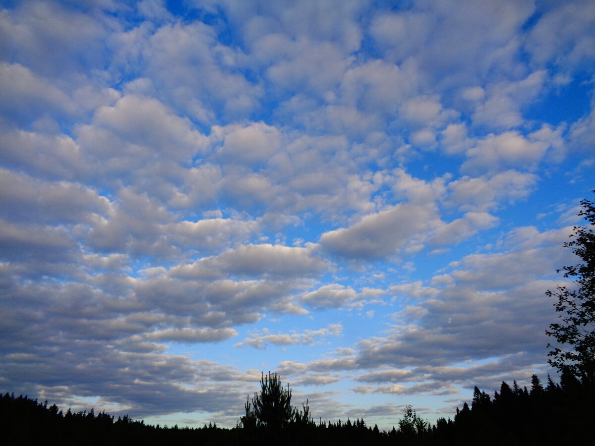 Карельский перешеек