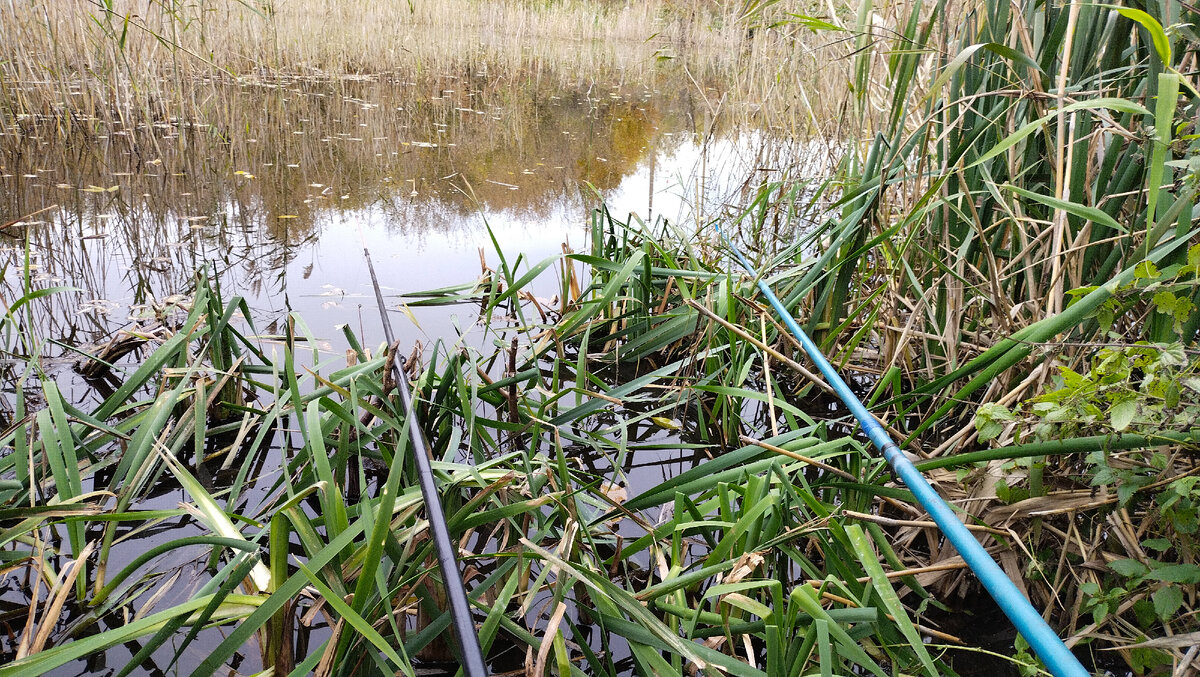 Осенний водоём.