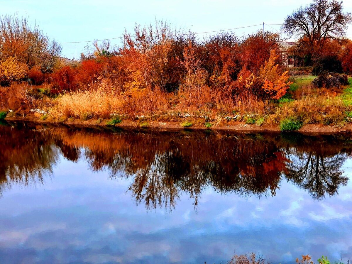 фото  автора 