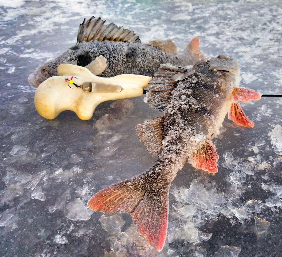 Блесна Сибирь Спортивная (СС)