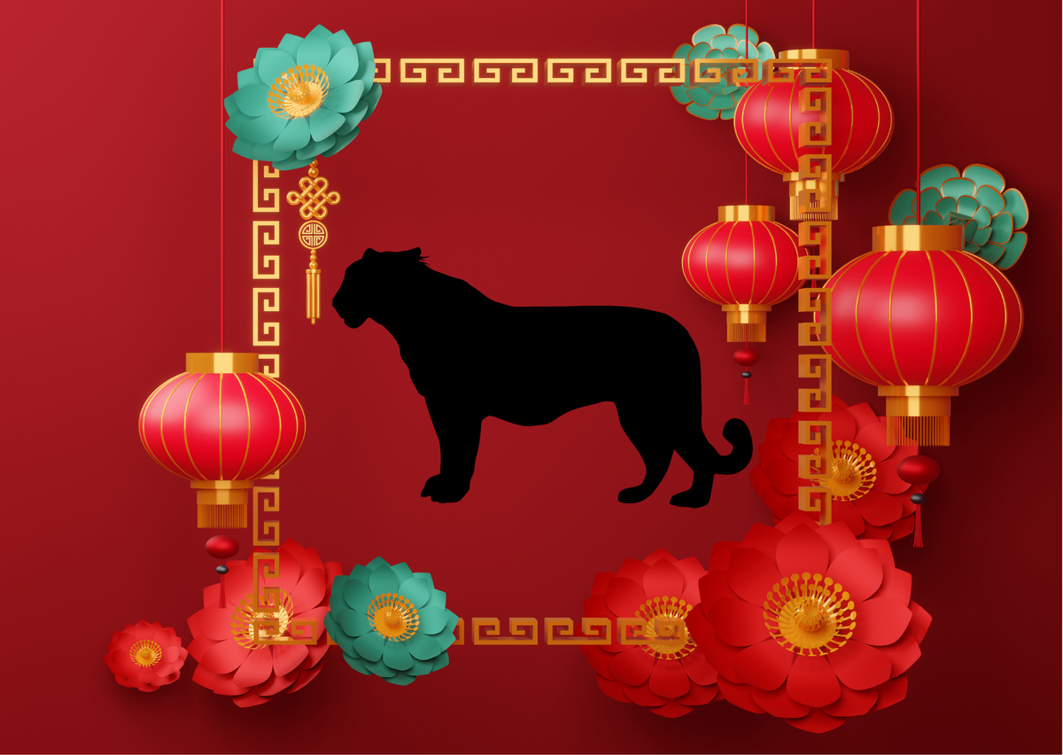 Источник вдохновения: https://www.canva.com