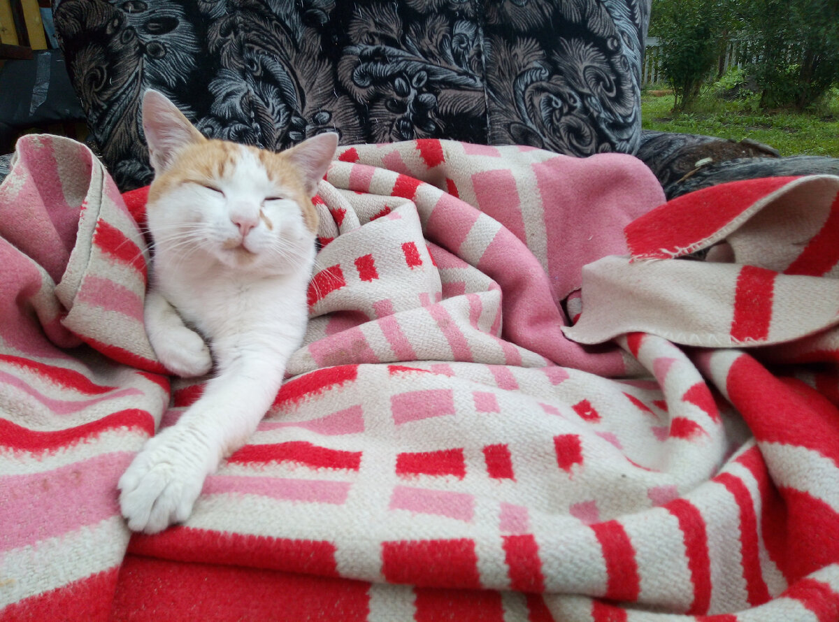 Один из бездомышей, зашел погреться