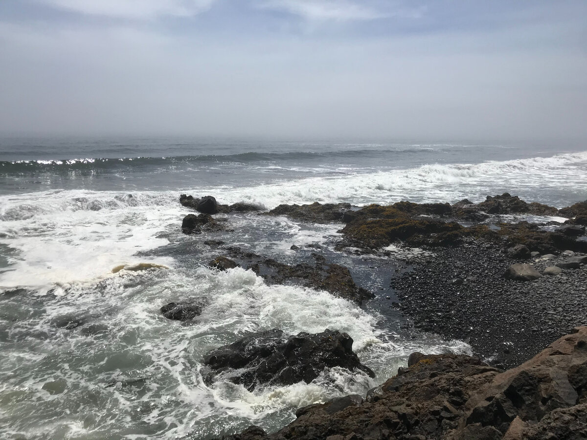 Возле океана всегда так шумно, что невозможно разговаривать