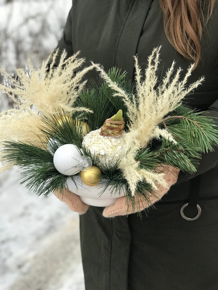 На фото: композиция из нобилиса, сосны и воскированной луковицей амариллиса. 