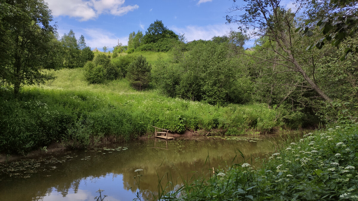 Коньша под деревней Баскаково