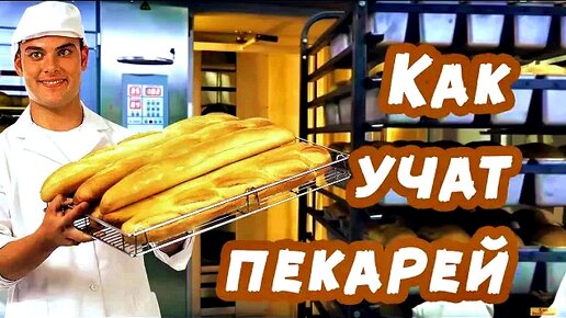 Как учат пекарей? Первые дни работы в пекарне № 3