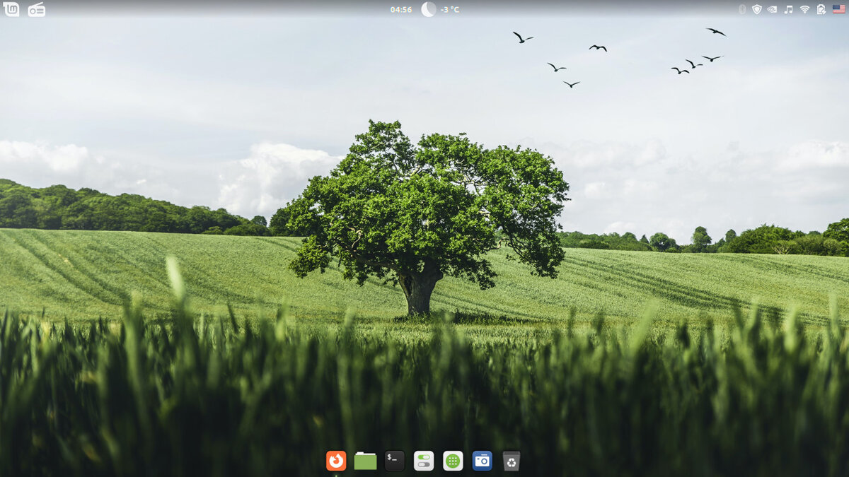 Популярный дистрибутив Linux Mint.