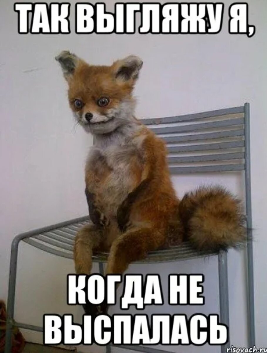 Фото взято из сети интернет 