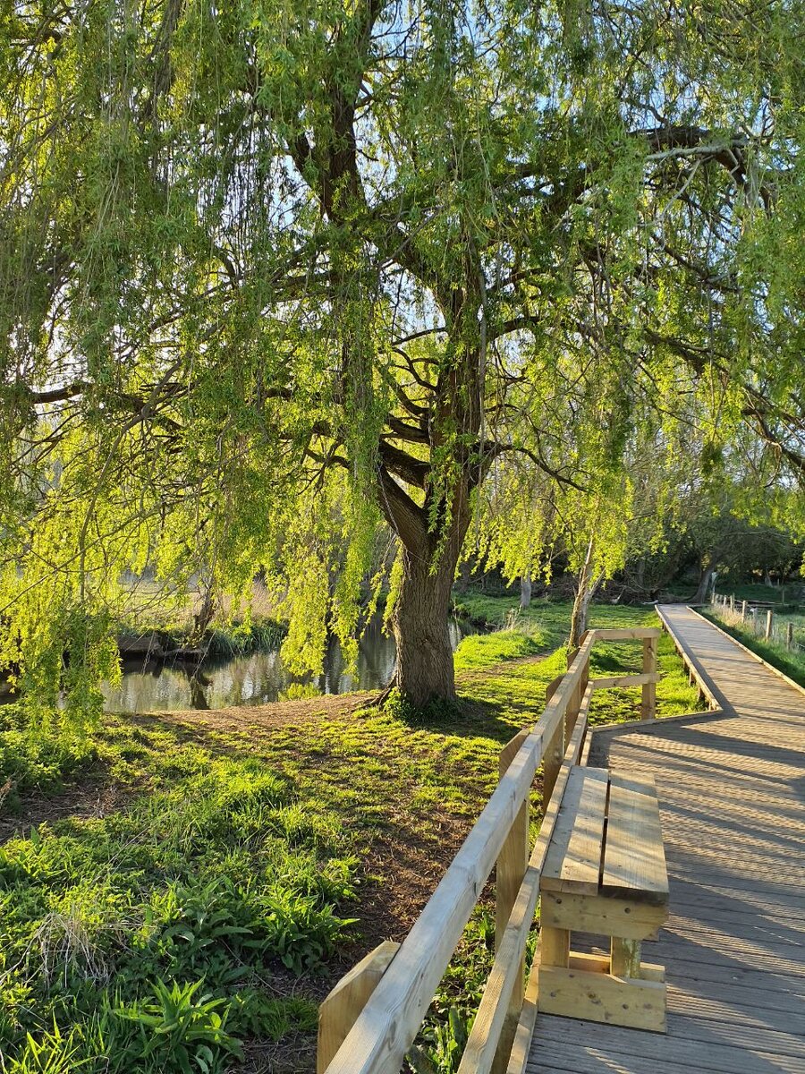 Pishiobury Park and wetlands