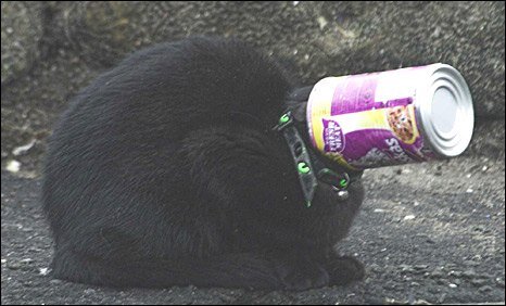 Ещё один пример подобного случая из интернета.