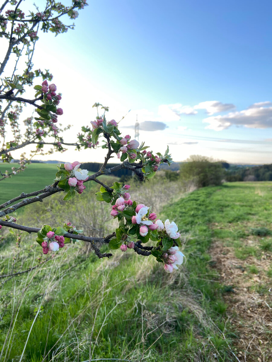 Баден-Вюртемберг 