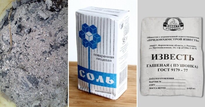 Фото: https://novate.ru