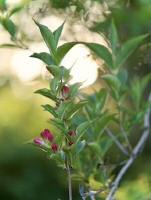 Изображение из открытого источника. Unsplash