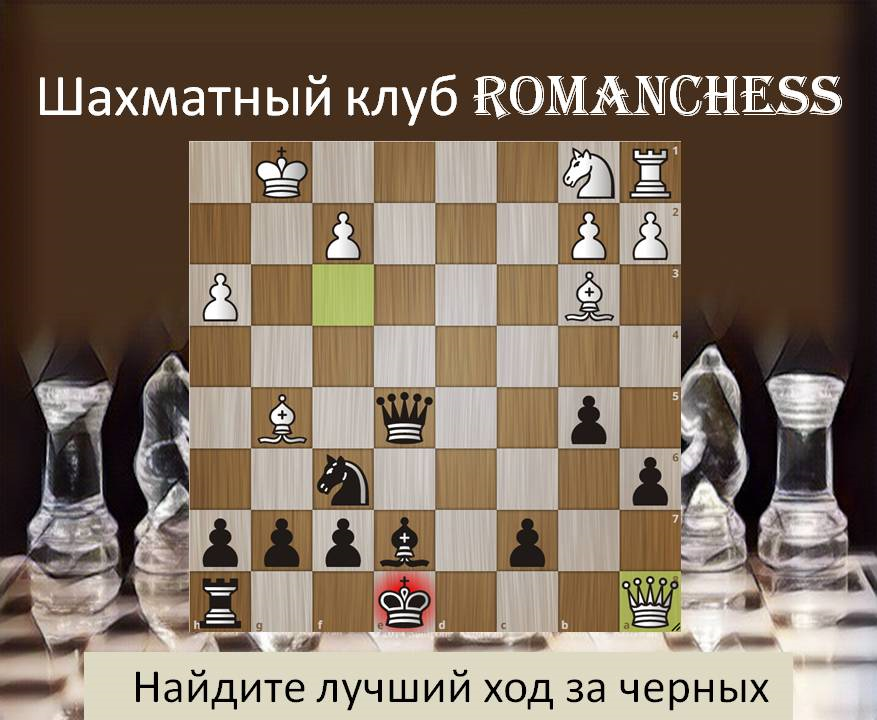 Шахматные задачи проект