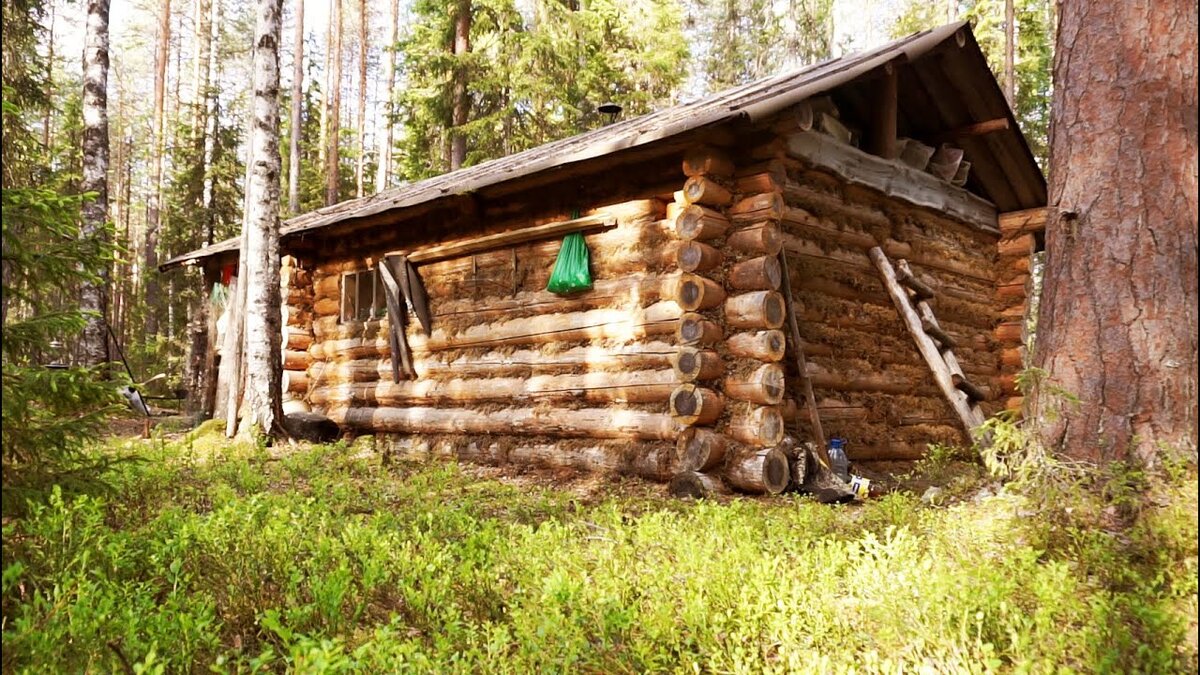 фото из интернета