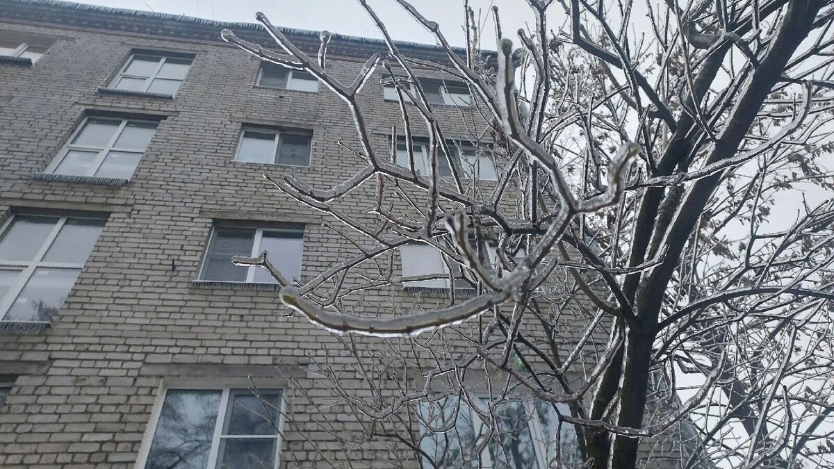     Режим повышенной готовности ввели в районах Нижегородской области, которые пострадали от ледяного дождя. Об этом рассказали в пресс-службе ГУ МЧС России по региону.