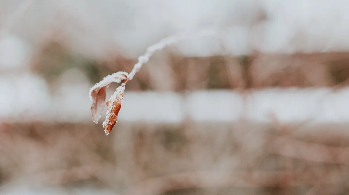 Погода на февраль. Фото: www.piqsels.com