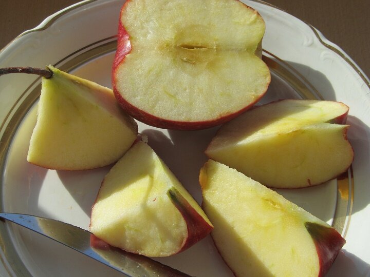 All rights reserved. ---  Яблоко.