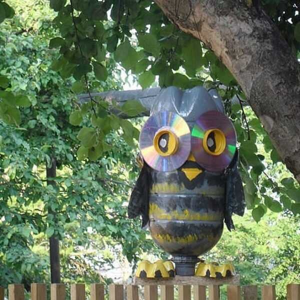 Как вам сова? ⬇️