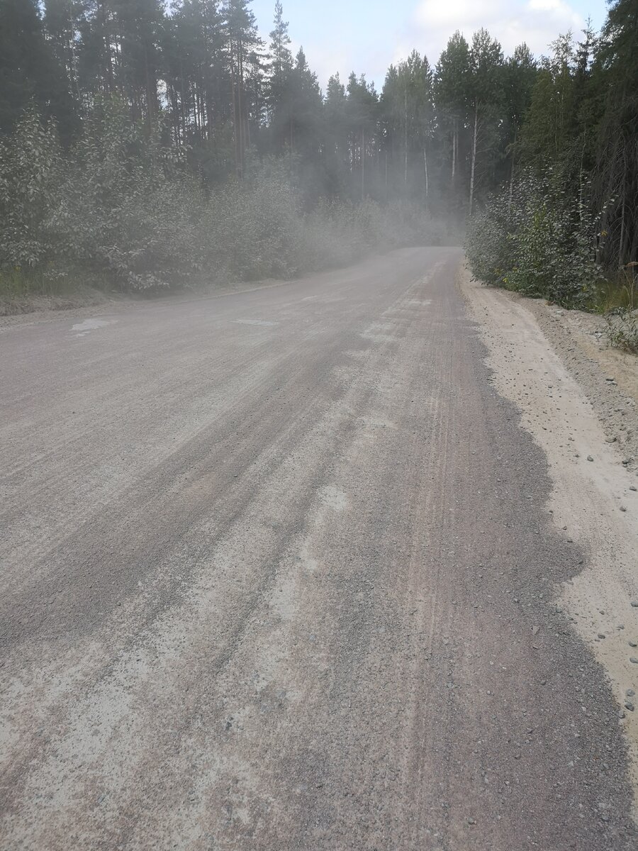 Дорога в летний период