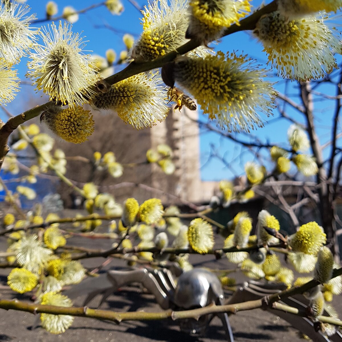 Фото автора.