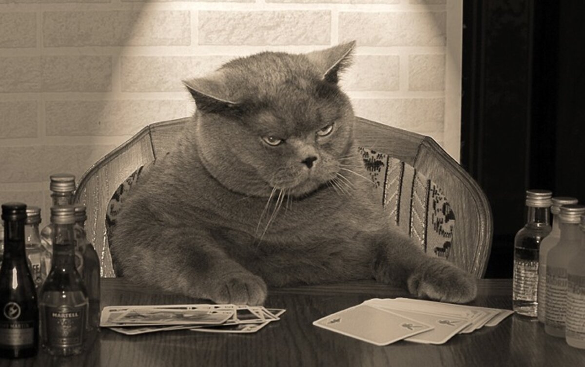 Барс Фридрихович