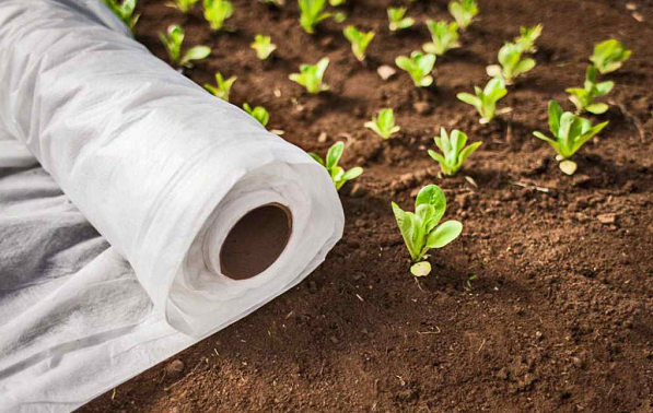 Источник фото: ooomegaplast.ru. Спанбонд плотностью 17 г/м2