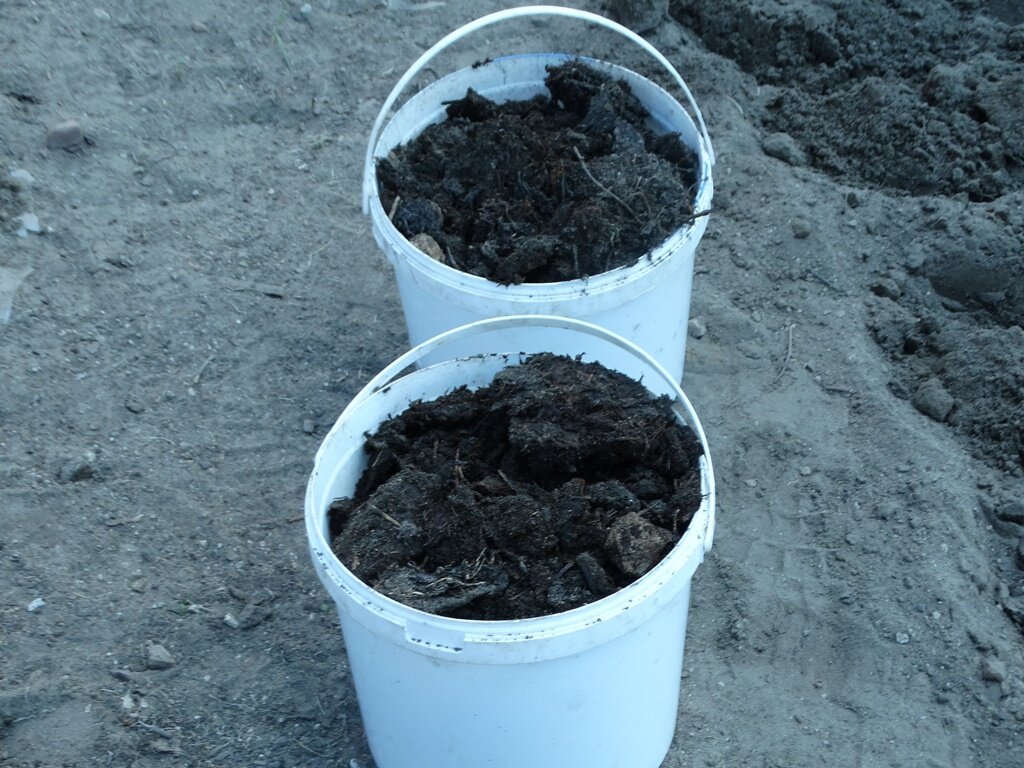 Что может быть лучше хорошего перегноя