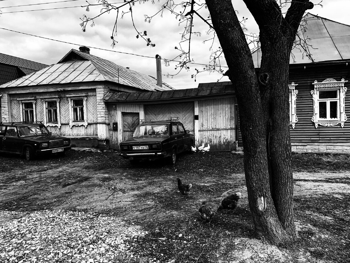 На фото: куры гуляют во дворе дома в Боровске