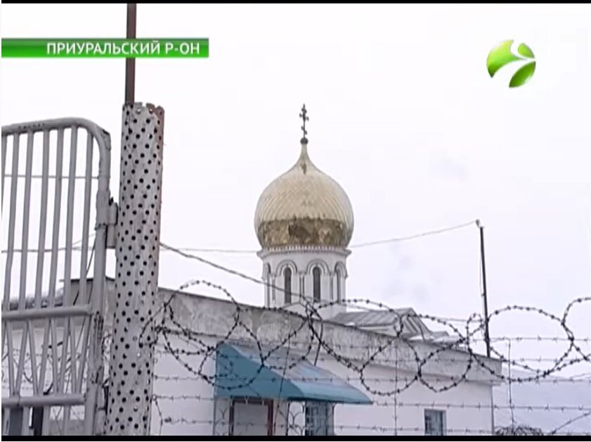 Полярная сова тюрьма презентация