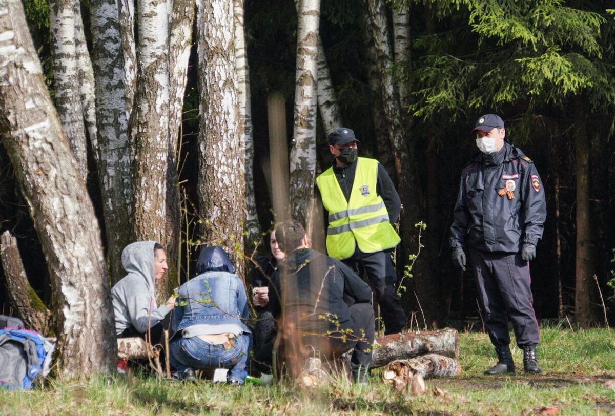 Встреча в лесу. Все фото получены из администрации г.о. Домодедово