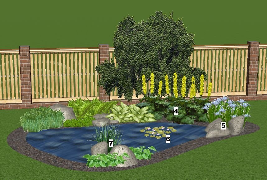 Июнь: 4 - Бузульник Пржевальского, 5 - Ирис сибирский, 6 - Нимфея Колорадо, 7 - Аир болотный