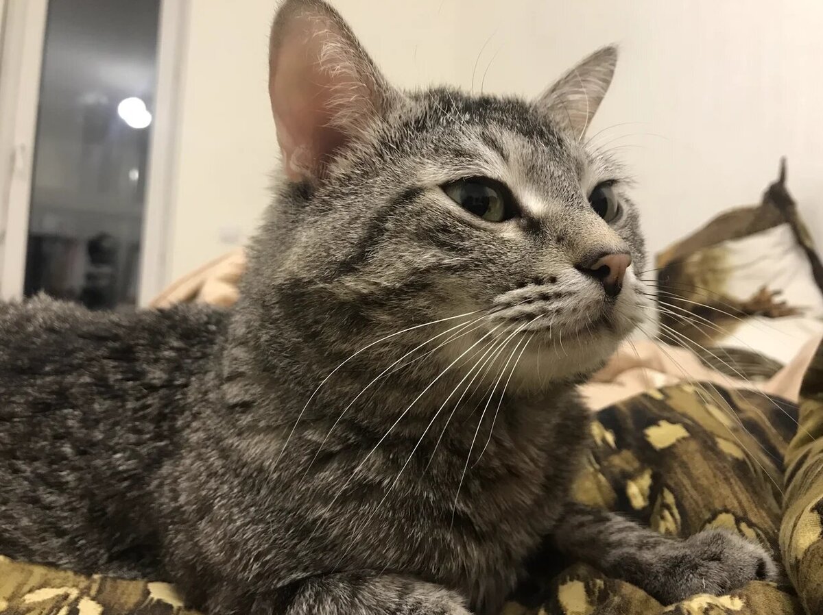 Вот тут уже получилось лучше. Я красив и внимателен.