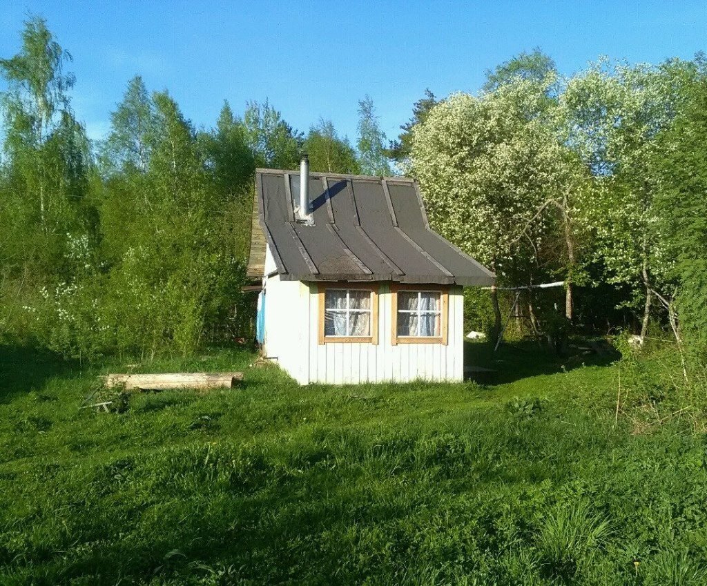 селигер осташковский район. арендовать дачу на лето. селигер тверская область деревня. снять дачу на реке. снять дачу на реке.