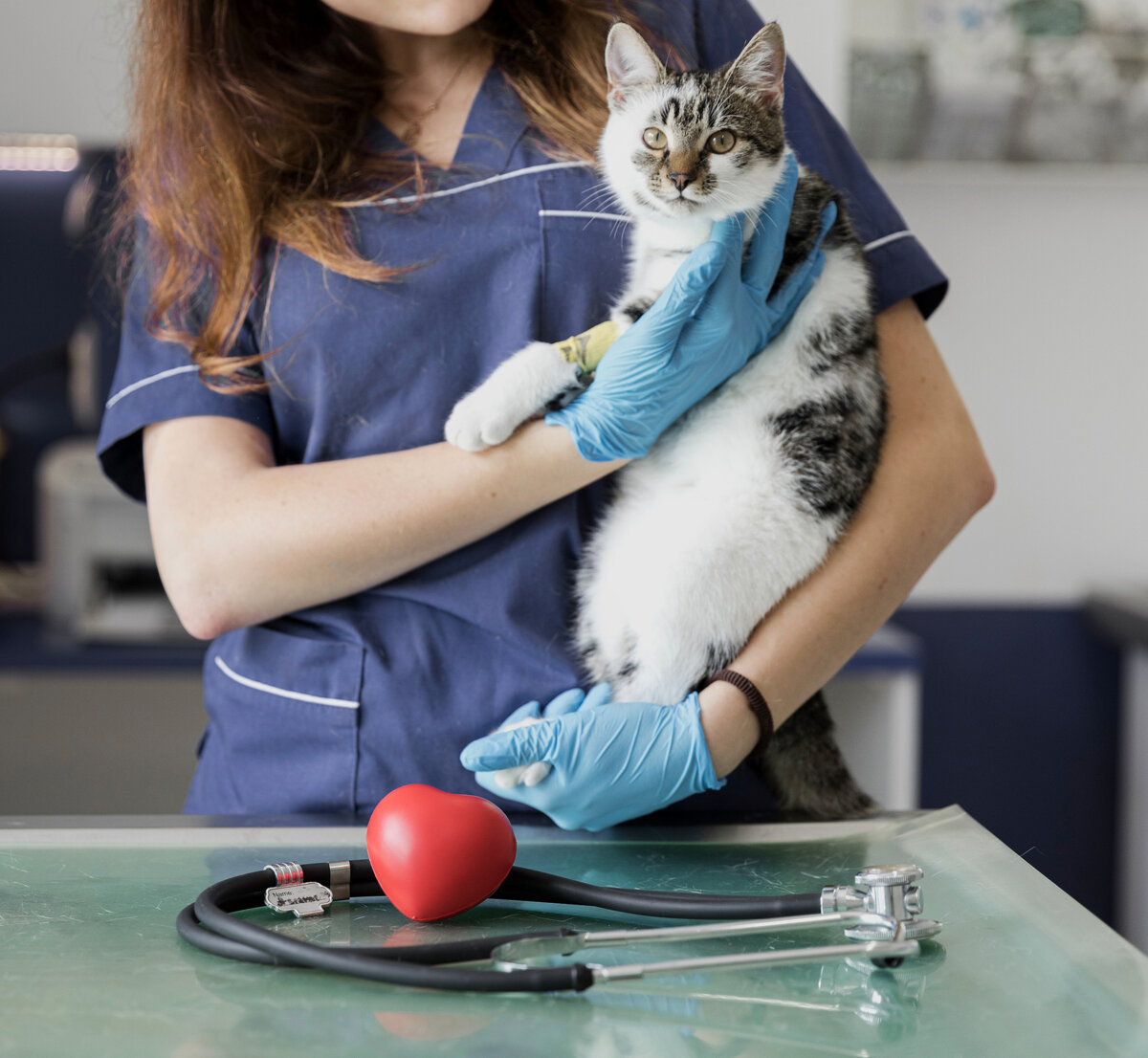 фото с фотостока