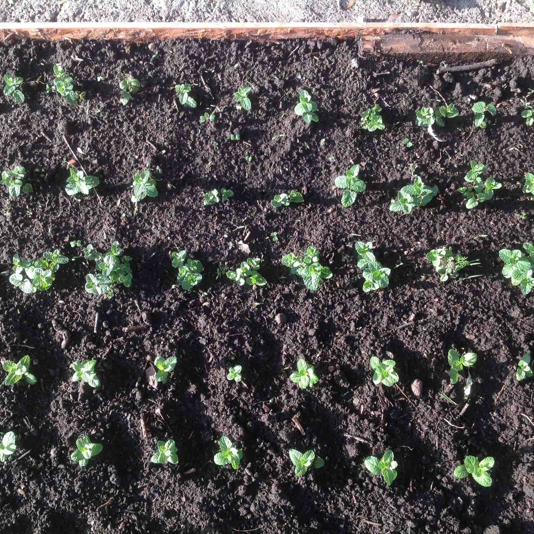 фото из личного архива