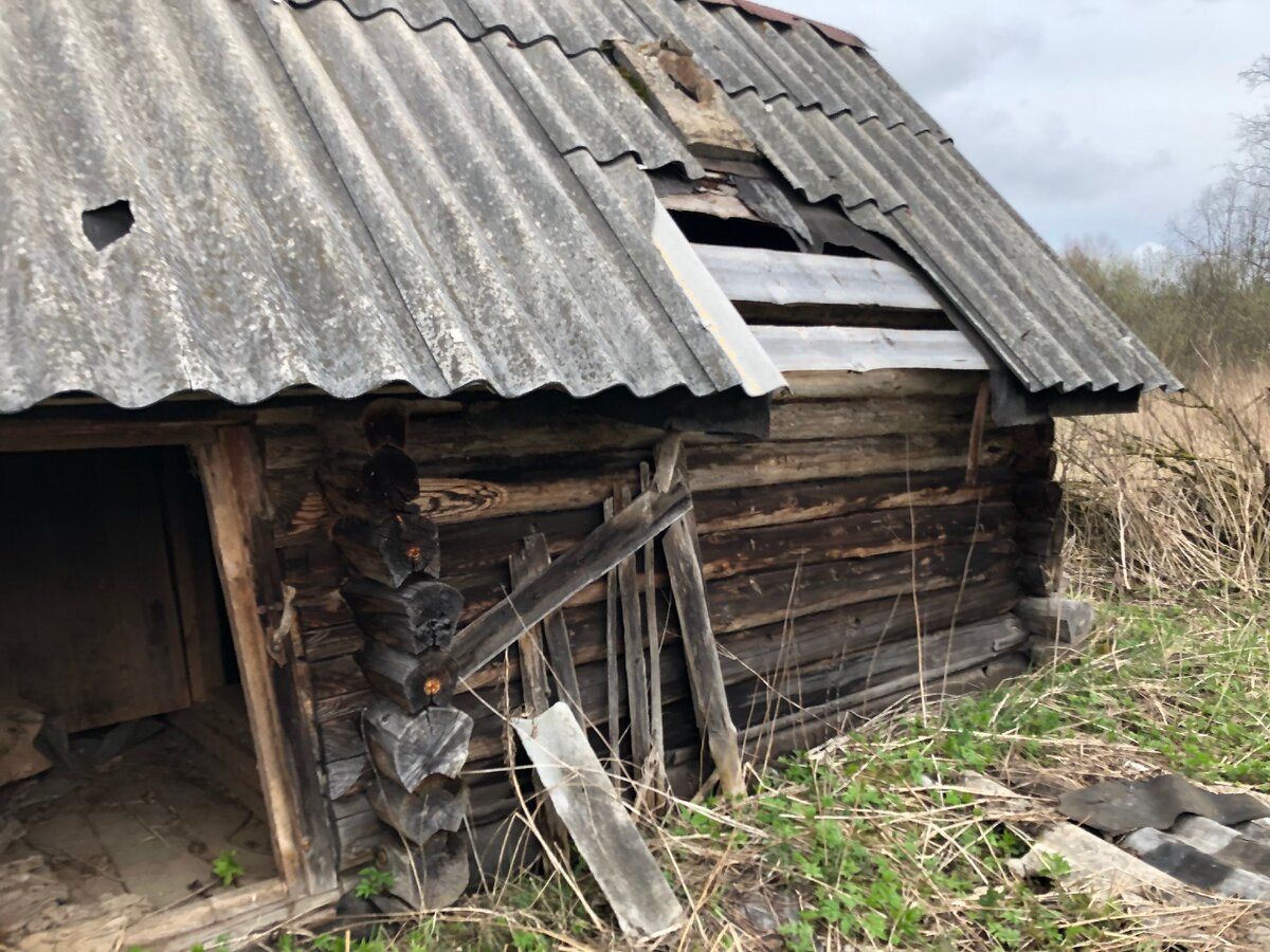 Заброшенная деревня, где никто не живет. Во что превратили дома мародеры за  последний год? | Тверская - вот она какая | Дзен