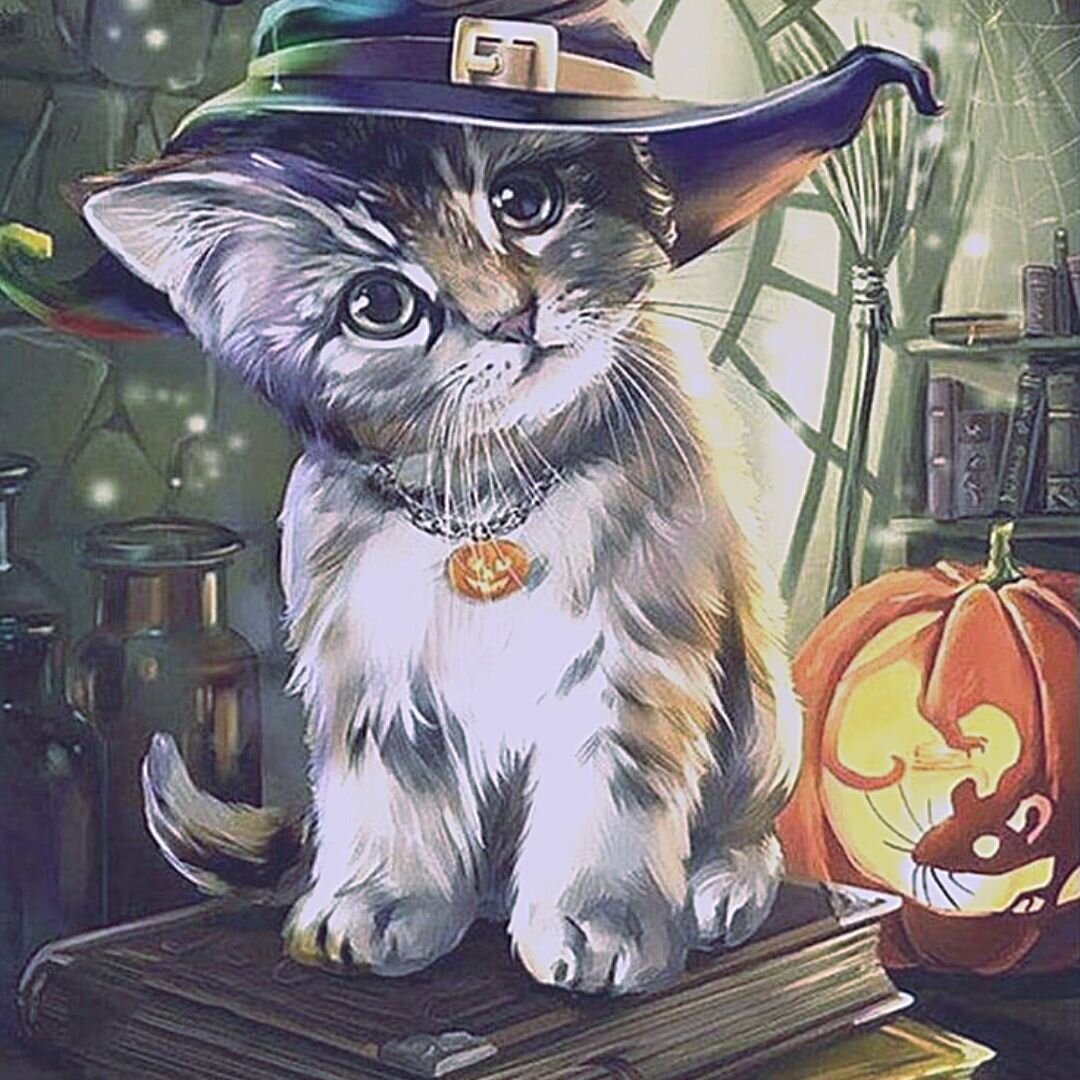 Ведьмин кот