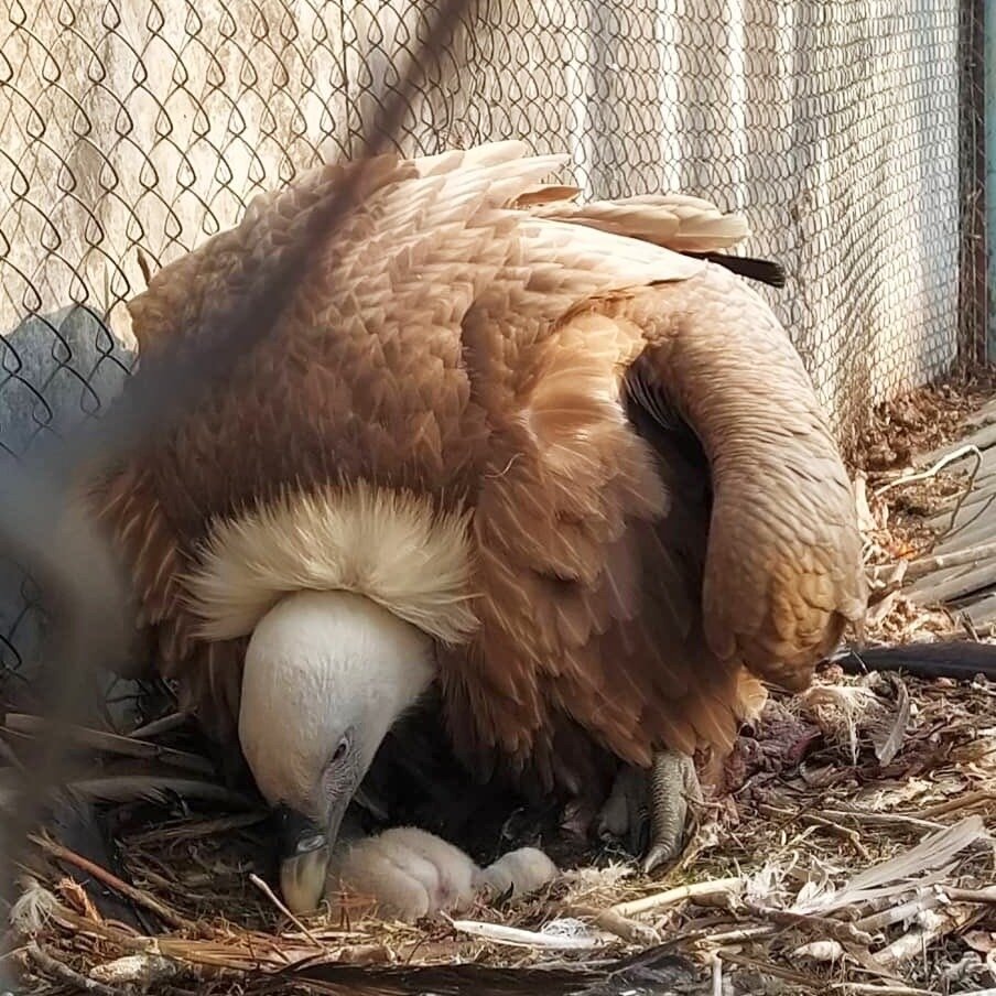 Фото работников зоо-уголка.