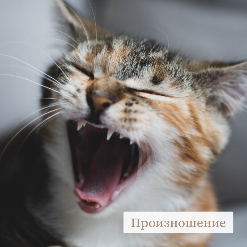 Произношение