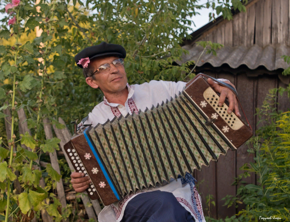 Человек гармошка. Земченков гармонист.