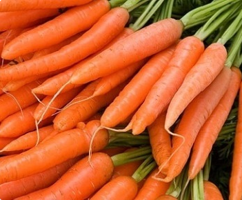 Фото взято с сайта dachnye-zametki.ru