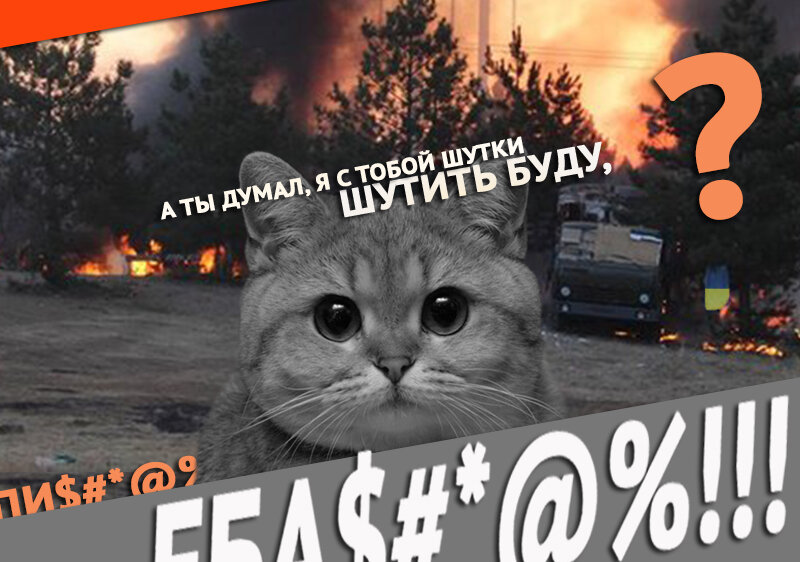 мем-кот по-донецки